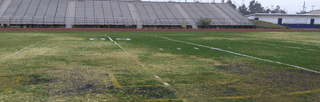 Illustration for article titled Austin: We visit fictional Dillon, TX, home of Friday Night Lights